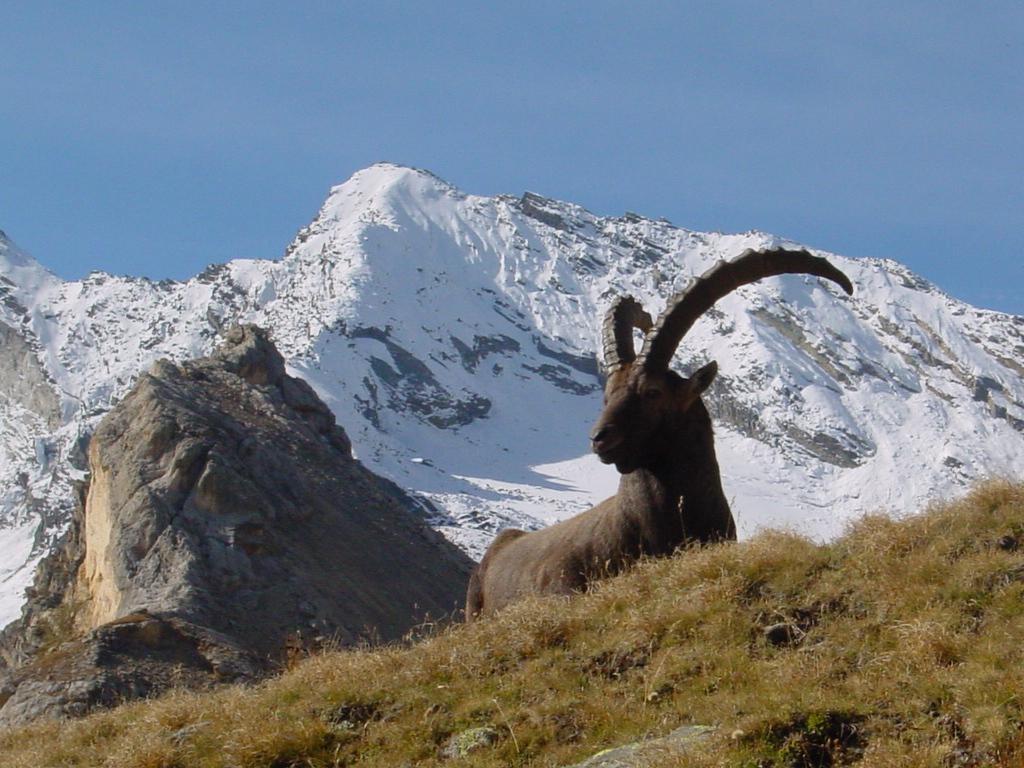 Hotel De La Vanoise Pralognan-la-Vanoise Luaran gambar